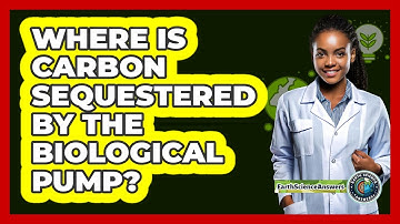 Where Is Carbon Sequestered By The Biological Pump?
