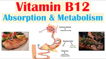 Kolik lidí trápí nedostatek vitamínu B12?