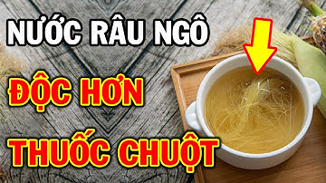 Tưởng NƯỚC RÂU NGÔ Tốt Ai Ngờ Uống Cách Này ĐỘC HƠN THUỐC CHUỘT, Cực Hại Cho Sức Khỏe