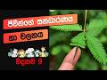 ජීවීන්ගේ සංධාරණය හා චලනය | Grade 9 Science Lesson 8 | Sinhala Medium