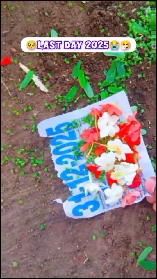 😂HaHaHaHa😅 - ShareChat