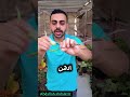 زراعة الورد البلدي زراعة الأسطح اكسبلور اشجار زراعة Garden Plants