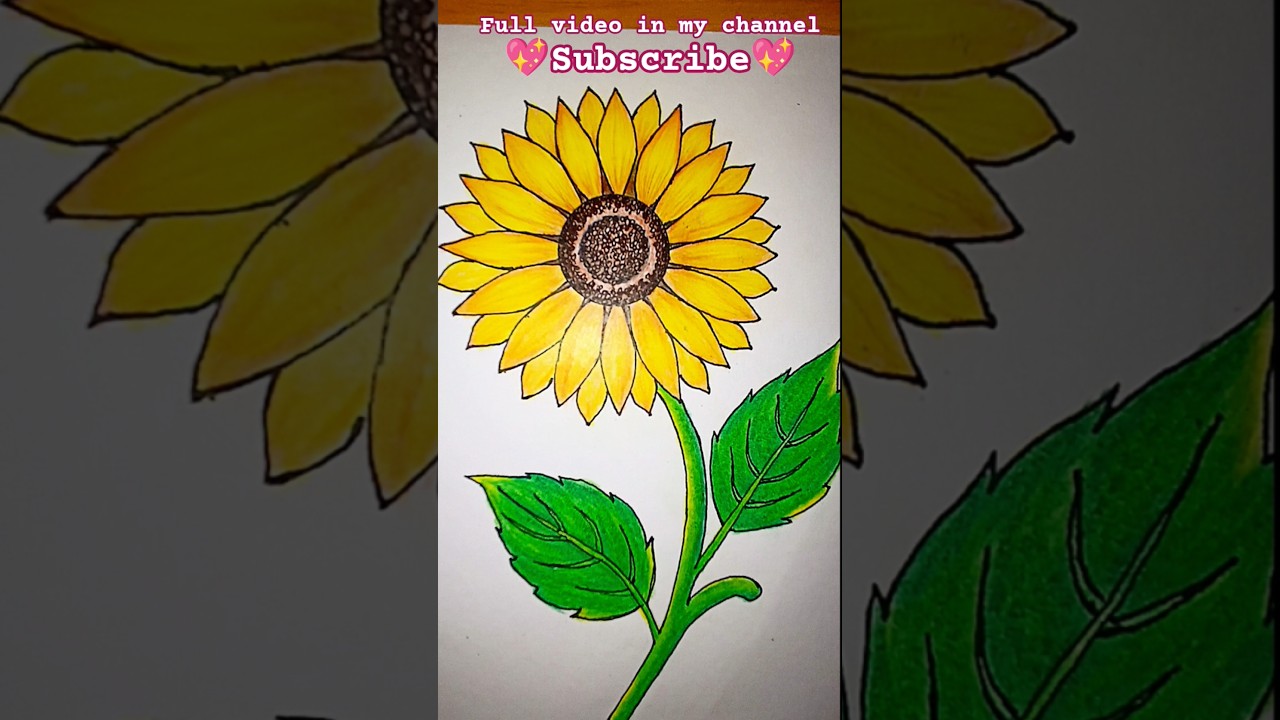 sunflower🌻🌱🌻 | Sunflower Drawing | Flower Drawing