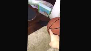 Cereal Cycle Rube Goldberg By Hazel and Emma Sugiyama science class