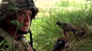 Mystery song from Adam Curtis' Bitter Lake