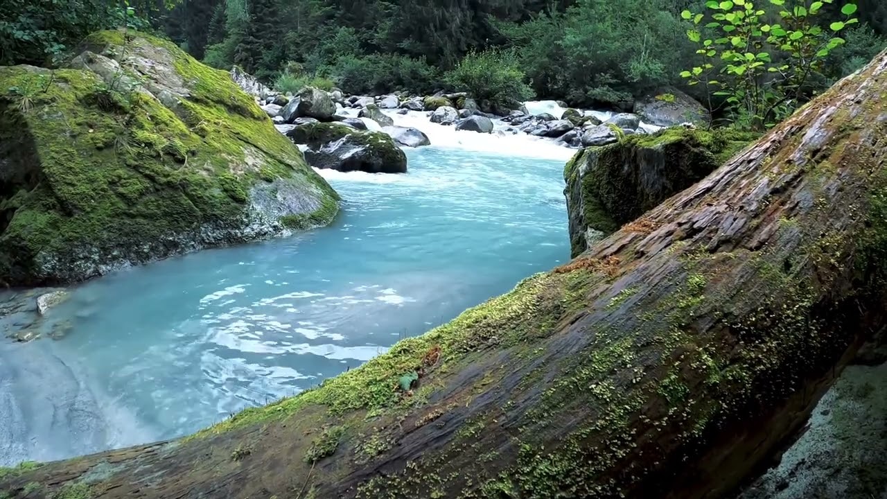 Relaxing Music Reduces Stress and anxiety disorders | heals mind and body | peace of mind 