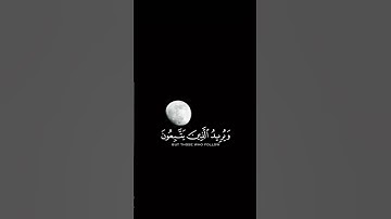 والله يريد أن يتوب عليكم بصوت القارئ ياسر الدوسري||حالة واتس 🧡🍂