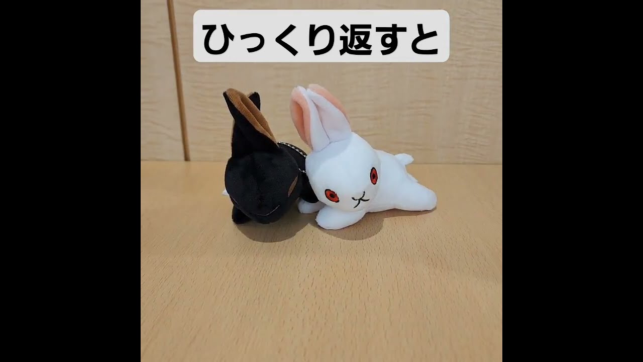 日本ミュージアムグッズ史上の画期?!【襖ぬいぐるみ開封】大覚寺