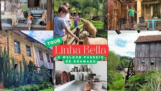 Bella Line Tour - Gramado like you've never seen. Agrotourism in the inner city and Masotti winery screenshot 2
