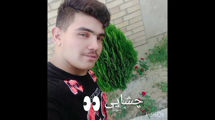 Mehran Rastakhiz