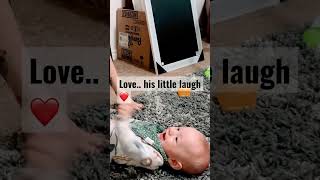 Cutest baby boy giggling over tickles#shorts#shortvideos#babies#giggles#baby#cutebaby screenshot 3