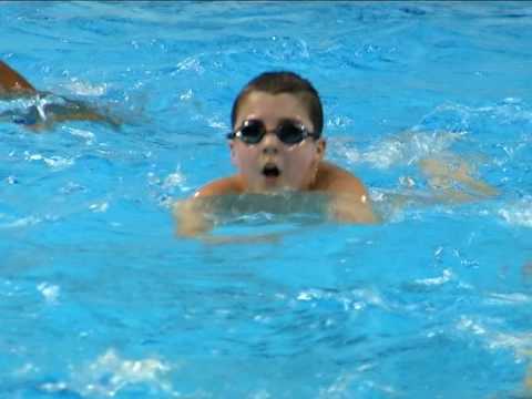 სრდან ლაზარევიჩის სემინარები წყალბურთის აკადემიაში