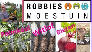 Palmkool, Witlof En Bietjes Voor Zaaien In De Moestuin.