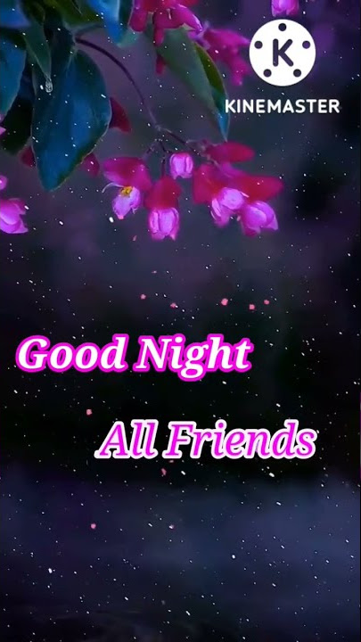 Good Night All Friends WhatsApp Status||Good Night status video