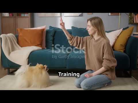 8 Essential Dog Care Tips Every Owner Must Know! #pets #petneeds #animals #pawcare #cutedog