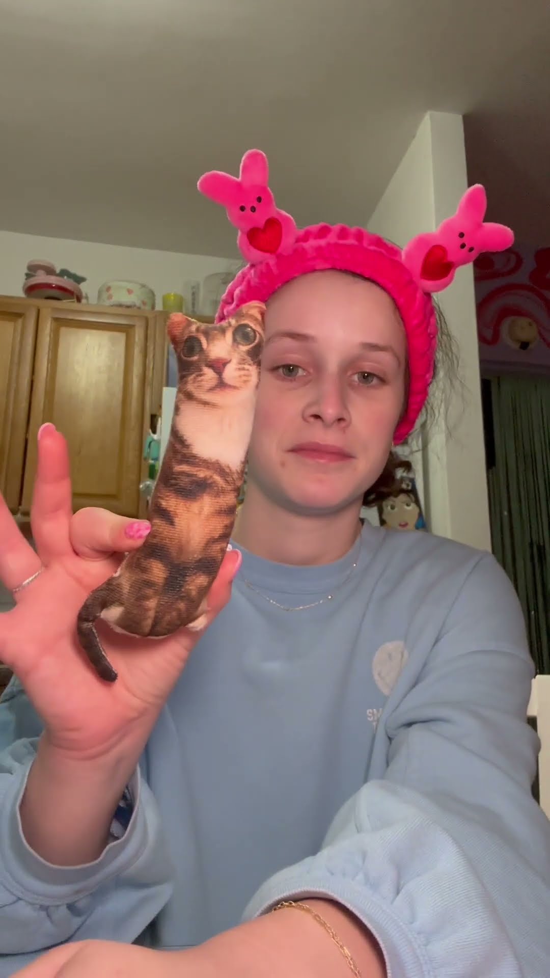 Custom Cat Pillow Purchase Doesn't Go To Plan || ViralHog