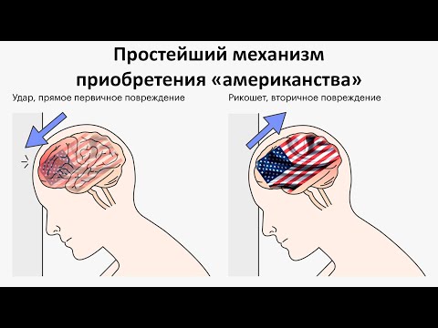 Американская 'утечка мозгов'. 👀 РУЛЕТ ТВ. Рулетка стрим.