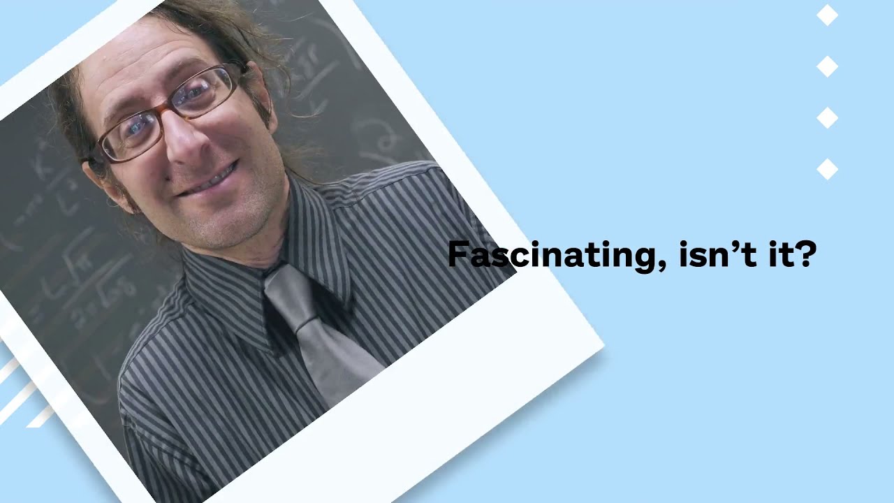 EYE OPENING misconceptions about dog food!