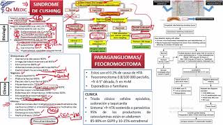 Sindrome de Cushing