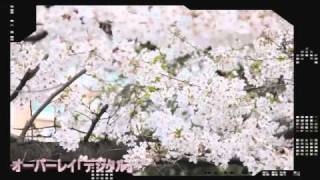 roxio Video Lab HD - iPhone用デモ動画