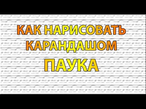 Видео: Как нарисовать ПАУКА карандашом поэтапно для начинающих?