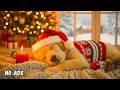 12 Hours Deep Sleep Dog Music 🐶💤 Soft Relaxing Sounds 💖 Reduce Stress & Fear Quickly 💤 No Ads