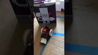 STEM 242 Mod 9 Challenge 1