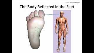 The Foot as a Microsystem Course Introduction