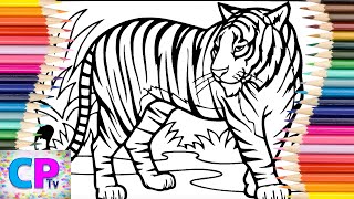Tiger Coloring Pages,Wild Tiger is Walking and Ready for Action,Coloring Pages Tv
