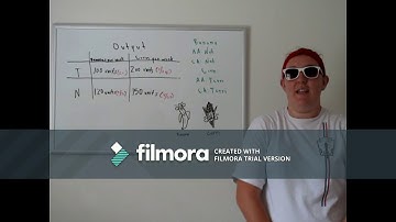 AP Macro Video Project