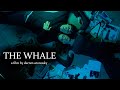 Requiem for a Dream trailer - (The Whale trailer style)