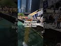 Chicago River turns yellow as rubber ducks race for a cause