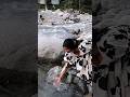 Sabse Pehle Reel Dekhte Haai phir Coments Ki Moje Lenge 😂#memes #funny #shorts #shortsfeed
