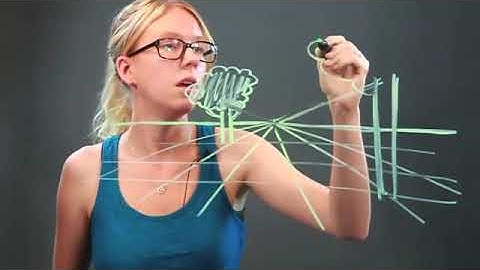 How to Draw Trees in Perspective