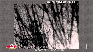 019 20140609 Flashes in the night sky 5