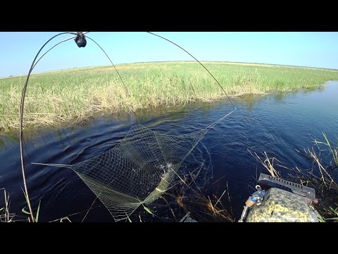 Видео: Маленький ручей, полный рыбы. Рыбалка на паук подьемник.