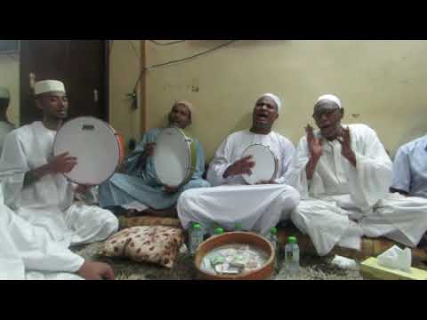 اسكريني يا مدامة شيخ محمود الضعيف