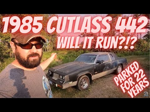 1985 Oldsmobile Cutlass 442 22 वर्षों के लिए पार्क किया गया! क्या यह चलेगा?!? जी-बॉडी !!