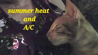 Summer Heat and A/C