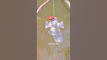 Genius DIY Fishing Tool from a Plastic Bottle – Catch Fish Instantly!