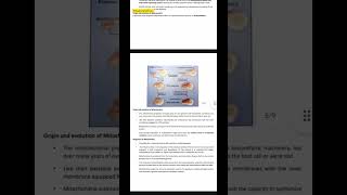 Of The Cell Shorts ..