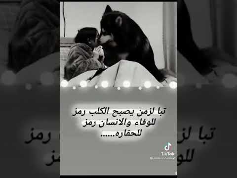 طز فى كل انسان متحجر آلقلب