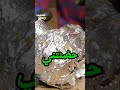 النهارده جاء ضيوف عند حماتي وقررت اعملهم غدا النهارده جاء ضيوف عند حماتي وقررت اعملهم غدا