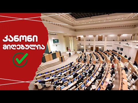 უცხოური გავლენის გამჭვირვალობის შესახებ კანონი მიღებულია / #სამნი \u0026 Co /28.05.2024