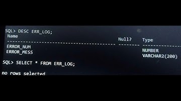 Error trapping functions in Oracle Pl-SQL @shaikmdraffi88