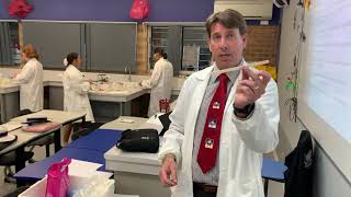 Canterbury Year 8 Science Challenge: Making Glue