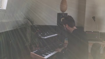 Trying out the Sequential Prophet rev2 analog synthesizer