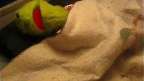 The Puppet Movie Part 2