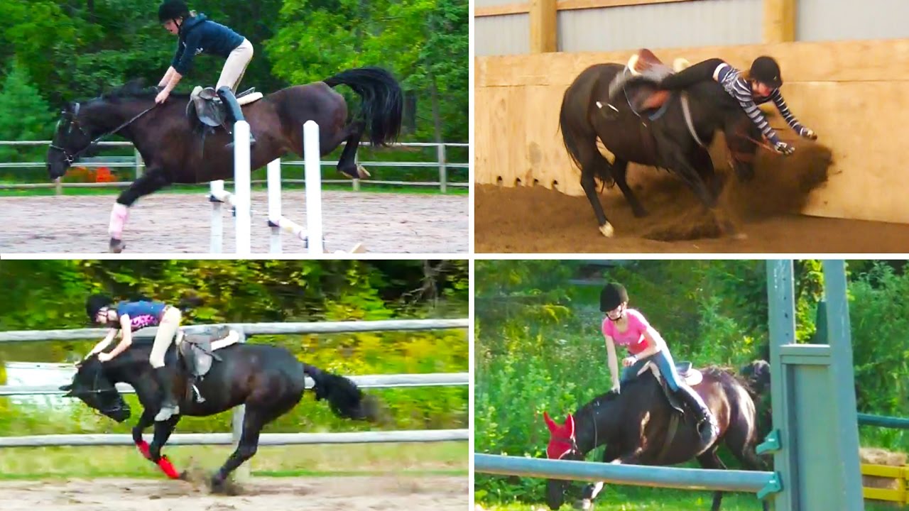Horse riding fails & falls compilation YouTube