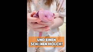 Seltsames Tier In Verlassenem Teich Gefunden